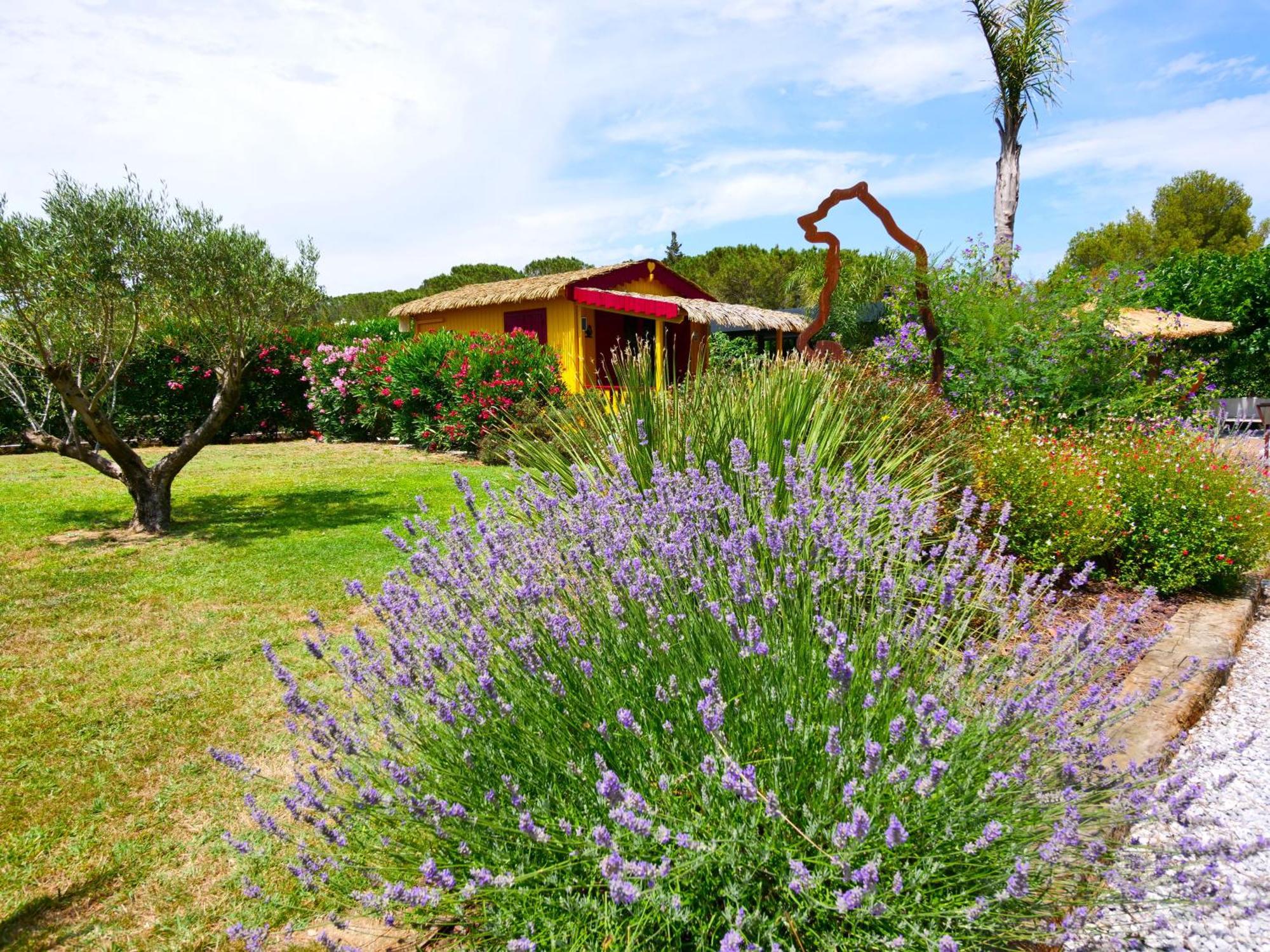 Saint-André Chambre D'Hotes & Spa Mas Dels Esquirols מראה חיצוני תמונה